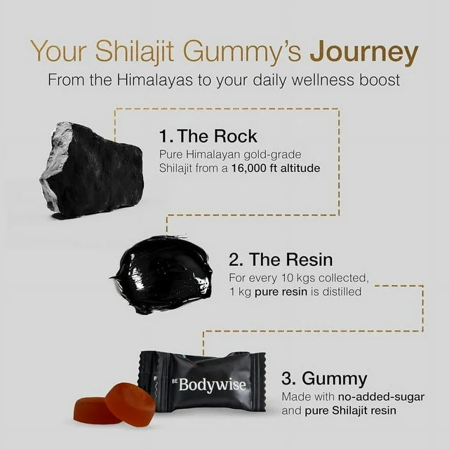 Be-Bodywise Pure Himalayan Shilajit Gummie